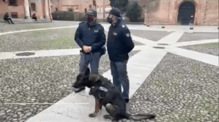 Squadra Cinofili della Polizia di Stato della Questura di Bologna