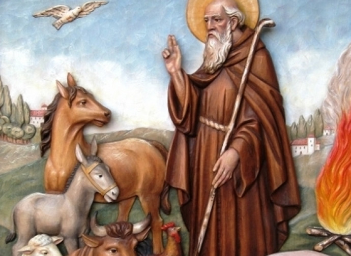 giornata internazionale della solidarietà Associazione Life: Sant'Antonio abate con gli animali